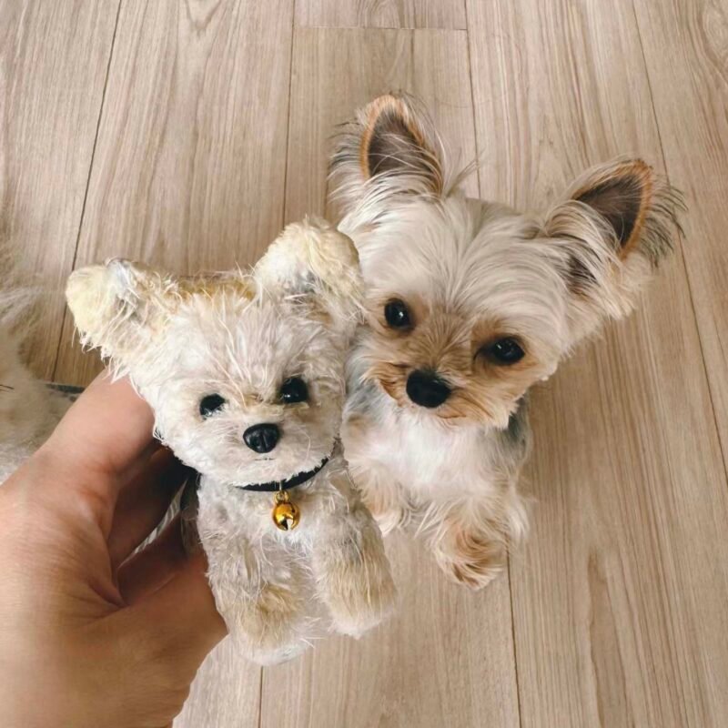 Handmade Wool Felt