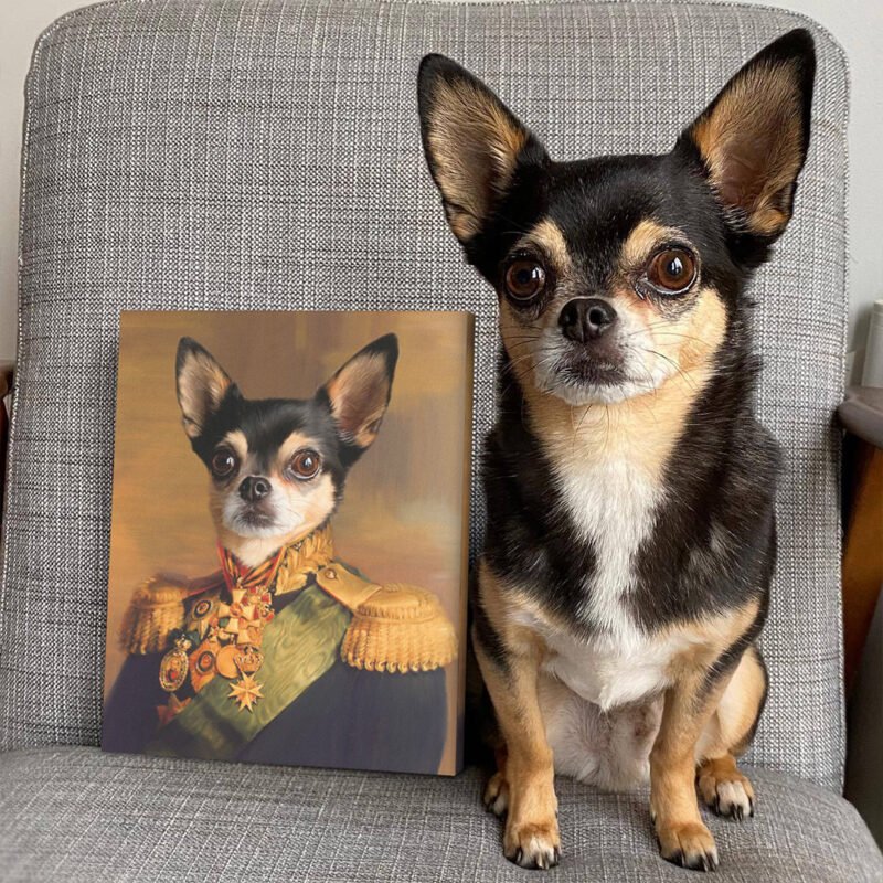 The Colonel - Custom Pet Portraits