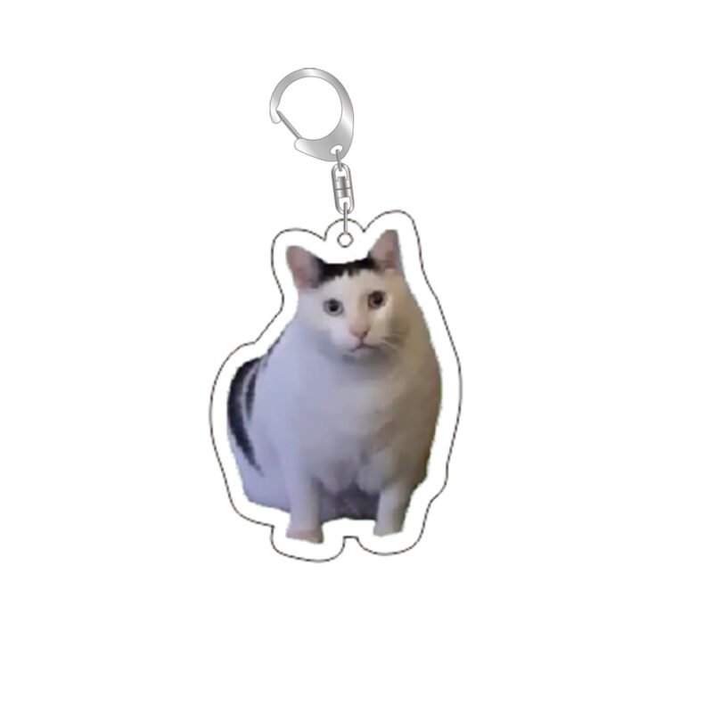 Cat Meme Keychain Confused Cat Memes
